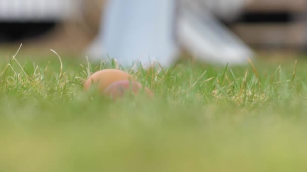 Yeşil Çimlerde Yuvarlanan Paskalya Yumurtaları Renkli Yumurtalarla Paskalya Oyunu — Stok video