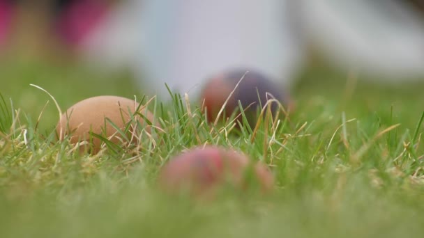 Ostereier Rollen Grünen Gras Osterspiel Mit Gefärbten Eiern — Stockvideo