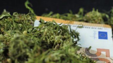 Marihuana paranın üzerinde uyur. Esrar tomurcukları ve yapraklar. Kurutulmuş kenevir ürünü. Depresyon tedavisi
