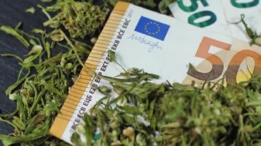 Marihuana paranın üzerinde uyur. Esrar tomurcukları ve yapraklar. Kurutulmuş kenevir ürünü. Depresyon tedavisi
