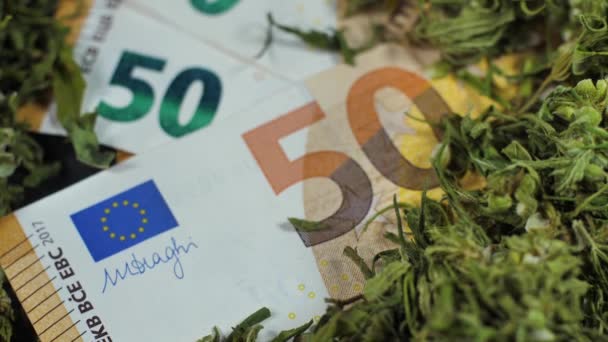 Marijuana Dorme Com Dinheiro Botões Maconha Folhas Produto Cânhamo Seco — Vídeo de Stock