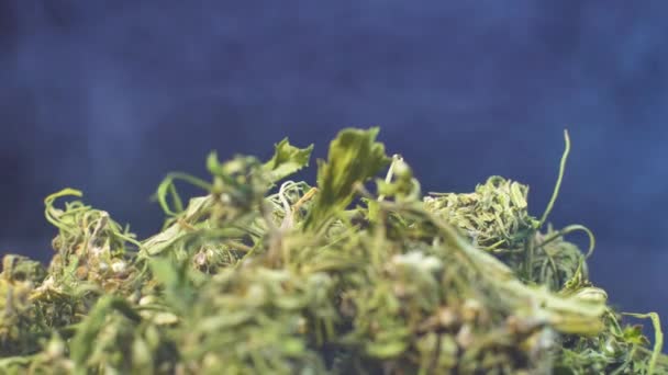煙の中の大麻 医療用マリファナの芽と葉 乾燥麻製品 うつ病のための薬草 — ストック動画