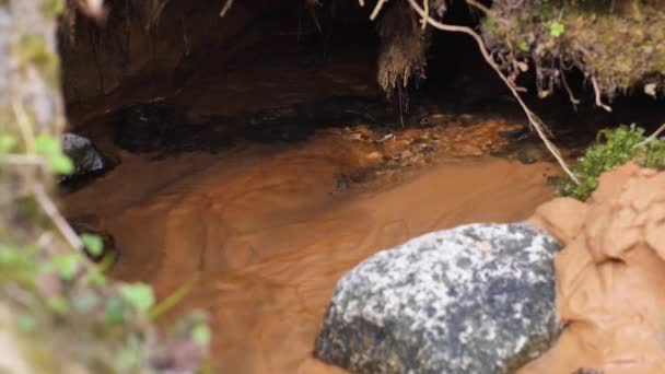 Eau Source Transparente Coule Travers Les Roches Sable Source Eau — Video