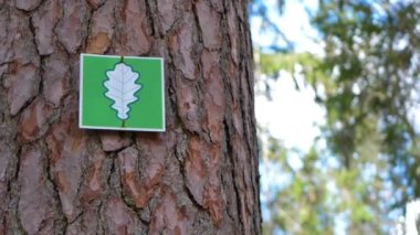 Bilgi işareti ağaca iliştirilmiş. Korunan büyük ağaç