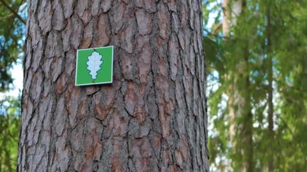 木に情報表示がついています 大きな木を守る — ストック動画