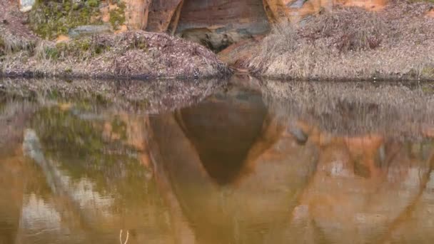 Una Cueva Angelical Creada Por Naturaleza Orilla Del Río Roca — Vídeos de Stock