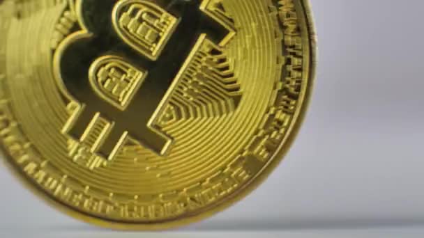 Bitcoin Moneda Oro Gira Sobre Fondo Blanco Luego Cae Concepto — Vídeos de Stock