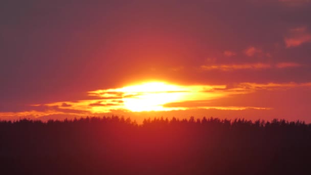 背景がぼやけている 雨の雲の後ろに驚くほど劇的な夕日 大きな明るい赤い太陽が地平線の上を動いている 夕日を背景に金色の空と中雲が広がる絶景 — ストック動画