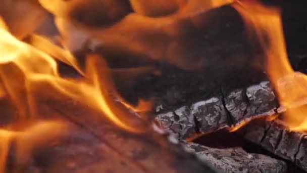 Vackra Eldflammor Elden Brinner Vackert Långsamt Torr Ved Brinner Elden — Stockvideo