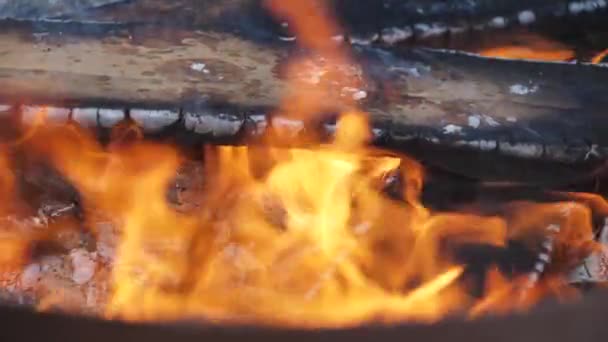 Vackra Eldflammor Elden Brinner Vackert Långsamt Torr Ved Brinner Elden — Stockvideo