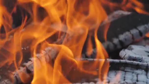 Beautiful Flames Fire Fire Burns Beautifully Slowly Dry Firewood Burns — Stock Video