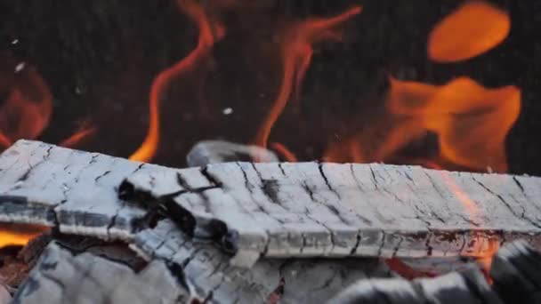 Frumoase Flăcări Foc Focul Arde Foarte Încet Lemn Foc Uscat — Videoclip de stoc