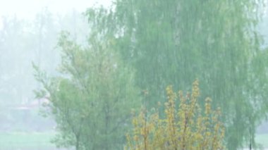 Dışarıda yağmur yağıyor. Şiddetli yağmurlar sis yaratıyor