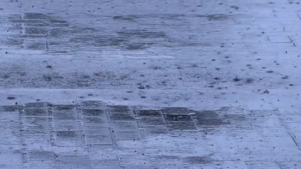 Las Gotas Lluvia Caen Camino Pavimentado Gotas Salpicaduras — Vídeos de Stock