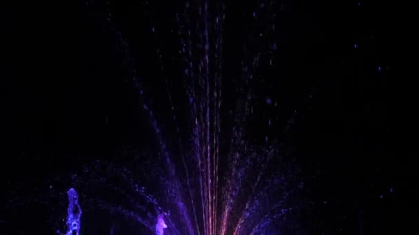 Fountains Illuminated Night Multicolored Light Night Show Lights Water — Stock Video