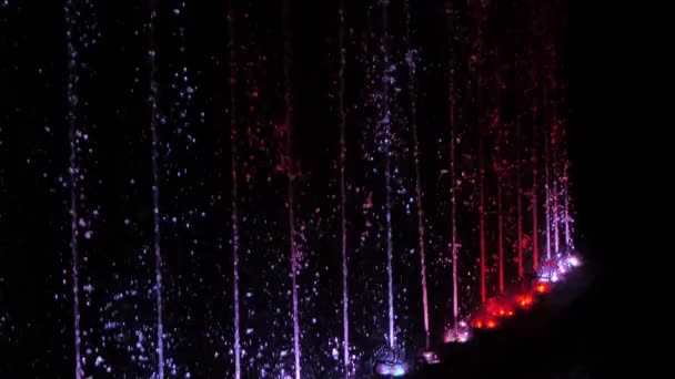 Fountains Illuminated Night Multicolored Light Night Show Lights Water — Stock Video