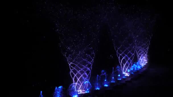 Fountains Illuminated Night Multicolored Light Night Show Lights Water — Stock Video