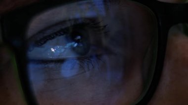 Bilgisayar borsasında internet ticareti ile ilgili iş toplantısı. Finans projesi, Girişimci Veri Analizi Stratejisi. Bilgisayardaki iş kadını