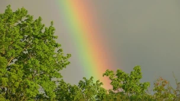 Regenboog Regenwolken Bij Zonsondergang — Stockvideo