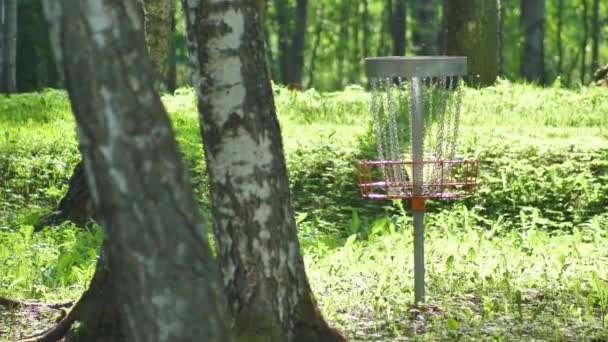 Dans Parc Une Voiturette Golf Disque Oscillant Avec Champ Vert — Video