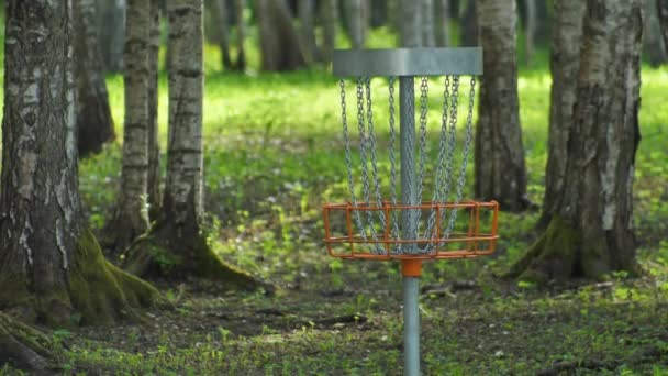 Parque Hay Carro Golf Disco Oscilante Con Campo Verde Fondo — Vídeos de Stock