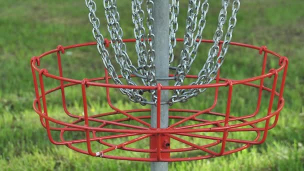 Parque Carrinho Golfe Disco Balançando Com Campo Verde Fundo — Vídeo de Stock