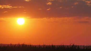Kırmızı gün batımlı sıcak titreşimli hava. Kuşlar kırmızı bir günbatımı arka planında uçuyorlar. Titreyen ve hareket eden görüntü. Güneşten gelen parıltı havayı hareket ettirir. Gölün kenarında sıcak bir yaz