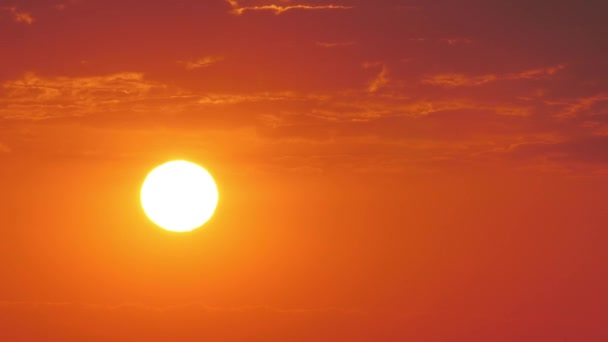 赤い夕日と熱い振動する空気 鳥たちは赤い夕日を背景に飛んでいます ゆらゆらと動く映像 太陽からの輝きは空気を動かす 湖のそばの暑い夏 — ストック動画