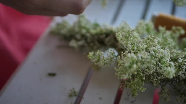 女性は草原の花の花輪を形成します 冬至の日の伝統 — ストック動画