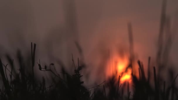 Ηλιοβασίλεμα Στον Καπνό Της Φωτιάς Κινηματογραφικό Θολό Περιβάλλον Πολύς Καπνός — Αρχείο Βίντεο