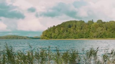 Bataklık gölü, fazla büyümüş çalılarla.
