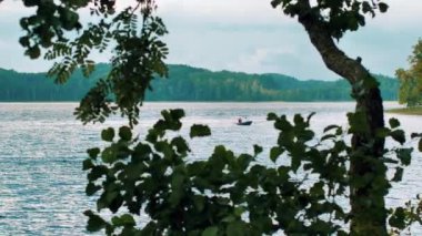 Bataklık gölü, fazla büyümüş çalılarla.