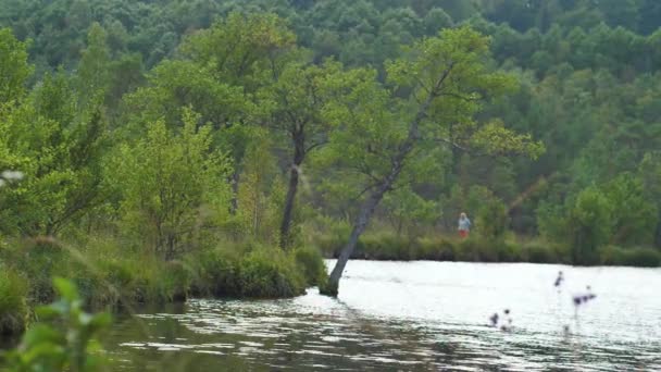 Bažinné Jezero Zarostlými Keři — Stock video