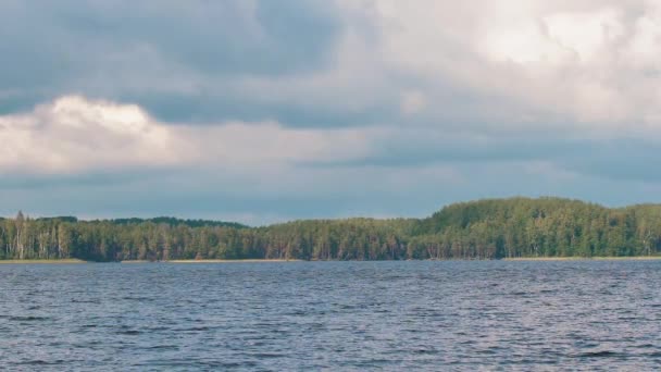 Болотное Озеро Заросшими Кустами — стоковое видео