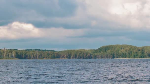 Träsk Sjö Med Igenvuxna Buskar — Stockvideo