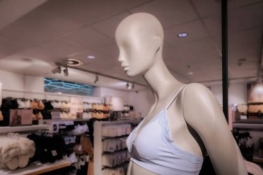 Yumuşak ışıklandırmadaki mankenler pastel dantelli iç çamaşırlarını ön planda açık mavi, arka planda ise bir moda mağazasında pembe renkte sergiliyor..