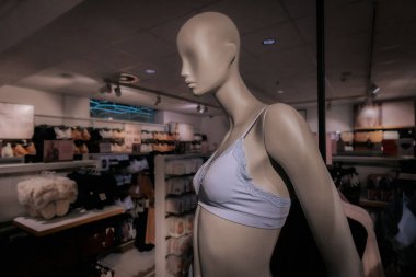 Yumuşak ışıklandırmadaki mankenler pastel dantelli iç çamaşırlarını ön planda açık mavi, arka planda ise bir moda mağazasında pembe renkte sergiliyor..