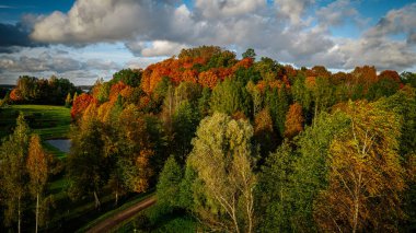 Aerial view of a vibrant autumn forest near a lake, showcasing colorful treetops in shades of yellow, orange, red, and green under warm sunlight.