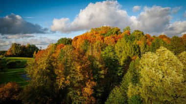 Aerial view of a vibrant autumn forest near a lake, showcasing colorful treetops in shades of yellow, orange, red, and green under warm sunlight.