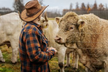Ekose ceketli ve kovboy şapkalı kadın bulutlu bir günde tel örgülerin arkasında beyaz sığırların yanında duruyor, konuşuyor ya da gözlemliyor. Görünür logo yok.