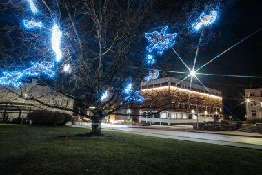 Gece sahnesinde mavi ışıklı güzel bir ağaç, bölgenin atmosferini yükseltiyor, bayram şenlikleri ve akşam toplantıları için mükemmel.