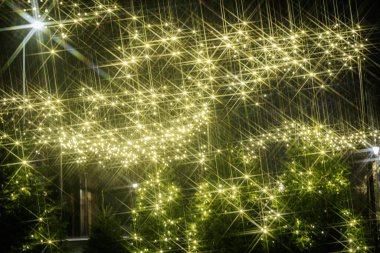 Peri ışıkları gece bahçesinde göz kamaştırıcı bir görüntü yaratır, yemyeşil bir ortam yaratır ve parlak yansımaları ve yumuşak parıltısıyla büyülü bir ortam yaratır.