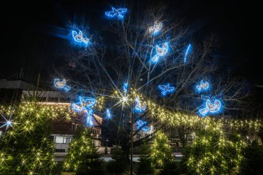 Gece sahnesinde mavi kuş ışıkları ve ışıltılı süslemelerle süslenmiş bir ağaç tatil sezonu için büyülü bir ortam yaratıyor.