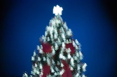 Parlak ışıklar ve süslemelerle süslenmiş, koyu mavi gökyüzüne karşı aydınlatılmış, neşeli bir bayram ruhunu çağrıştıran ve kutlayan Noel ağacı.