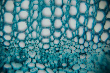 Mavi ve beyaz baloncukların yakın plan görüntüsü benzersiz bir desen oluşturuyor, karmaşık şekilleri ve detayları vurguluyor, büyüleyici bir görsel deneyim yaratıyor.