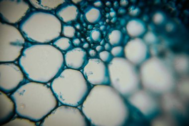 Mavi sıvıdaki baloncukların yakın görüntüsü, benzersiz şekilleri ve dokuları vurguluyor, izleyicinin hayal gücünü ve merakını cezbeden soyut bir kompozisyon oluşturuyor.