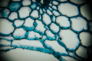 Mavi ve beyaz renkli soyut akışkan desenlerin yakın görüntüsü, bal peteği yapısına benziyor, eşsiz dokuları vurguluyor ve sanattaki büyüleyici ayrıntıları vurguluyor.