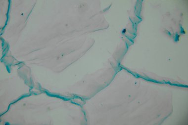 Akan desenler ve yumuşak renkler ile soyut dokuma yüzeyinin yakın görüntüsü, karmaşık ayrıntılar ve organik şekiller, yaratıcı projeler için mükemmel