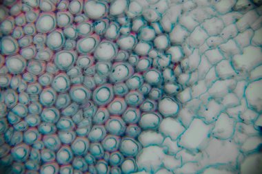 Close-up view of colorful soap bubbles, displaying intricate patterns and textures, with vibrant hues and fluid dynamics creating a mesmerizing visual experience