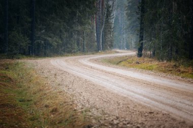 Kavisli toprak yol, yüksek ağaçlar ve canlı yapraklarla çevrili sık ormanlarda dolaşır. Keşifleri davet eder ve doğal güzellik ve sükuneti gözler önüne serer.